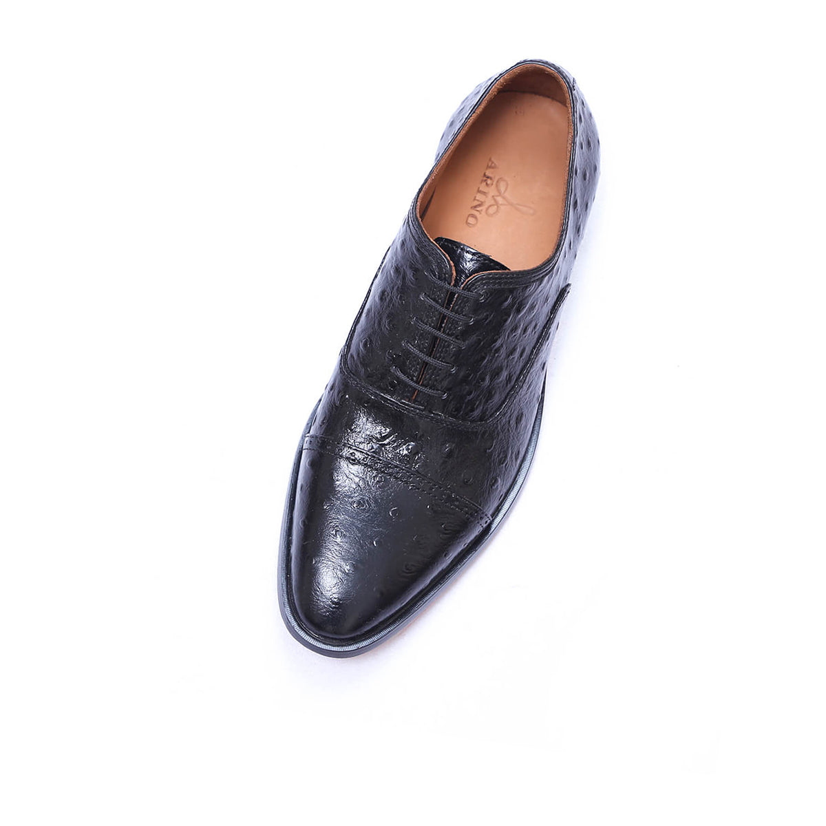 Black Ostrich Mirtheni AF-036
