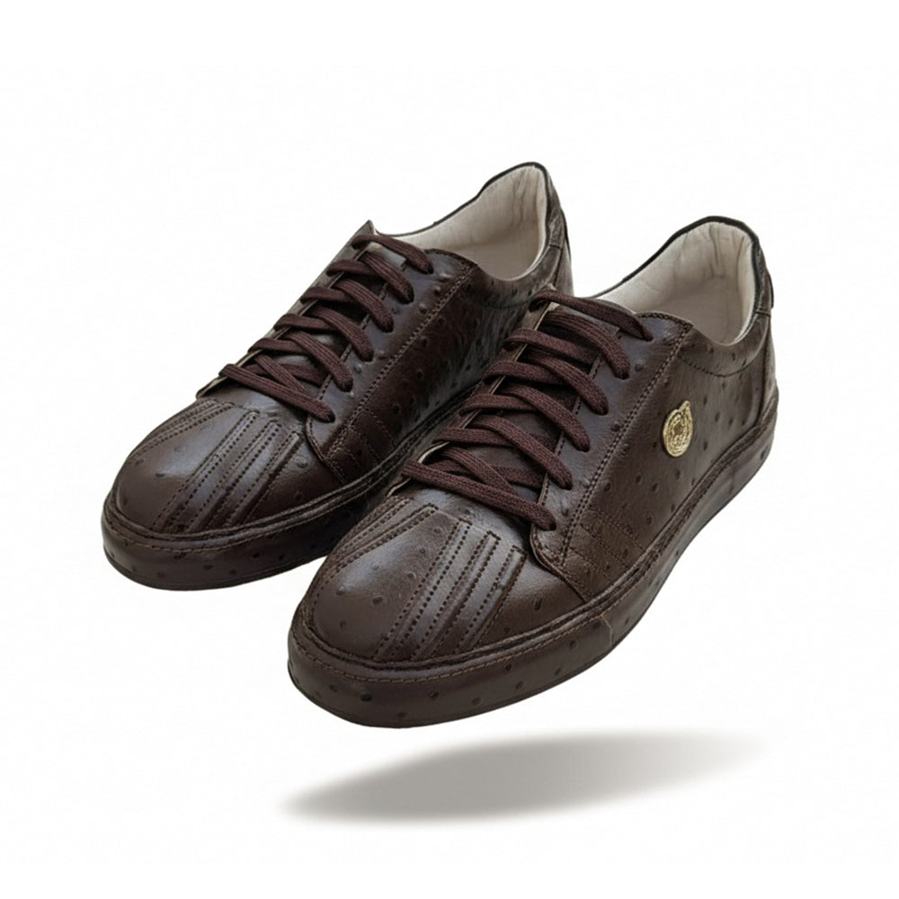 Brown Ostrich RA-001