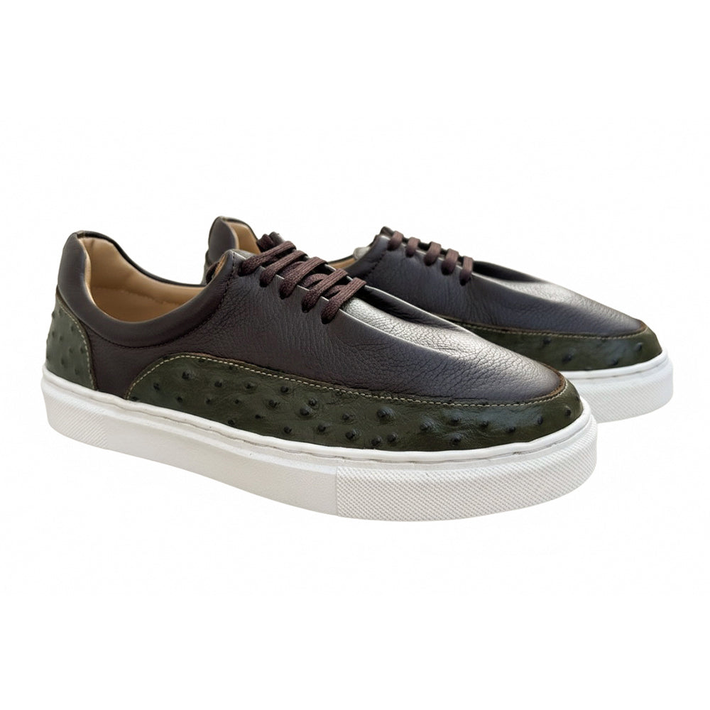 Brown Ostrich RA-003