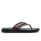 Brown Avezona A-225