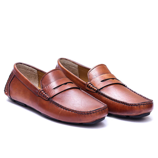 Brown Nodelis DC-023