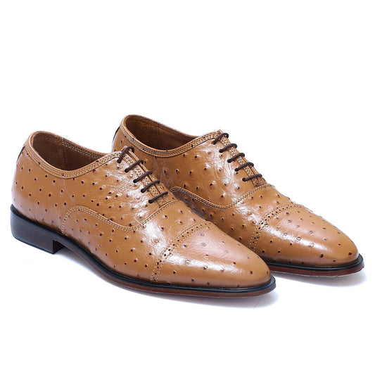 Tan Ostrich Mirtheni AF-036